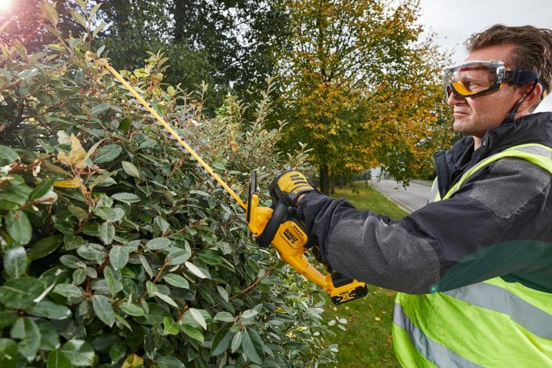 Persona usa DEWALT DCM563PB cortasetos afuera, recorta arbustos junto a una calle y árboles de otoño.