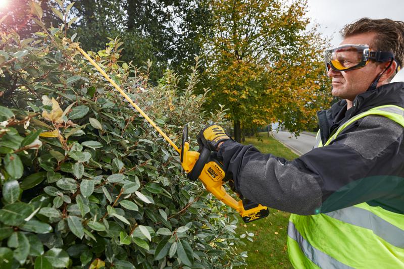 Persona usa DEWALT DCM563PB cortasetos afuera, recorta arbustos junto a una calle y árboles de otoño.