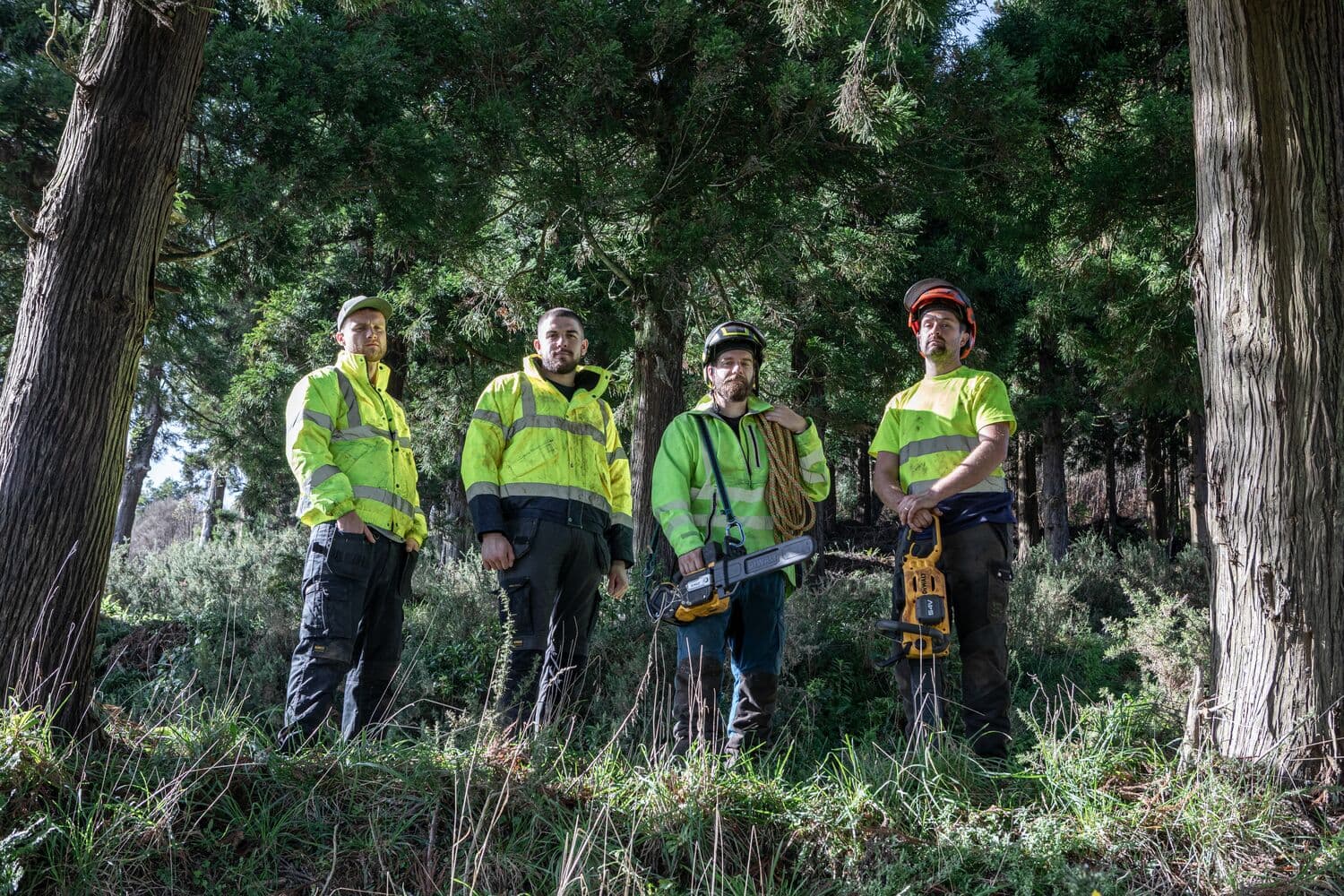 Cuatro trabajadores con chaquetas de alta visibilidad y equipo de seguridad están de pie en un área boscosa. Dos de ellos sostienen motosierras. Están rodeados de árboles altos y vegetación.